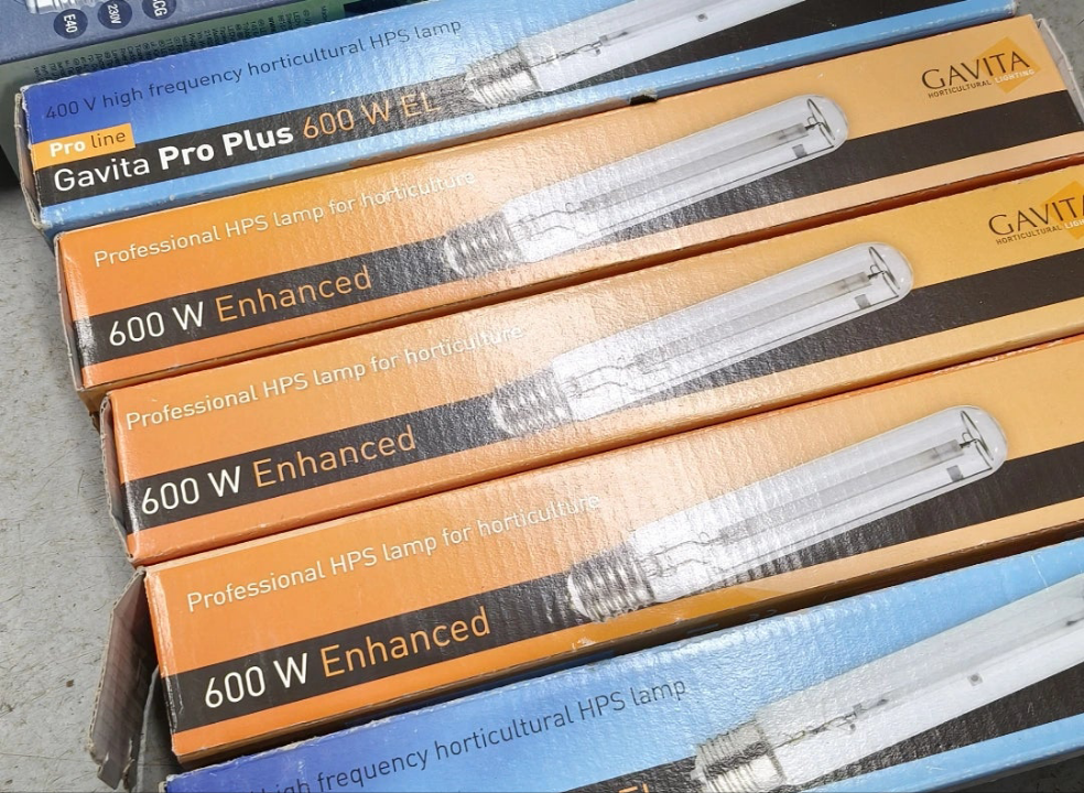 Gavita - Verbesserte HPS-Glühbirne 600W 230V