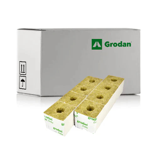 Grodan - 3 Zoll Steinwollblöcke