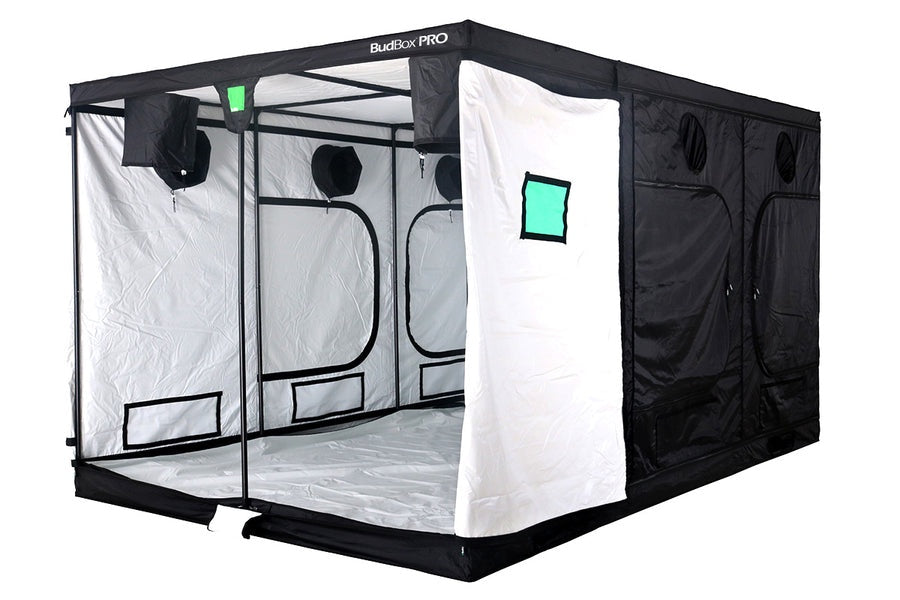 Bud Box Pro Zelt Weiß - 240 x 360 x 220