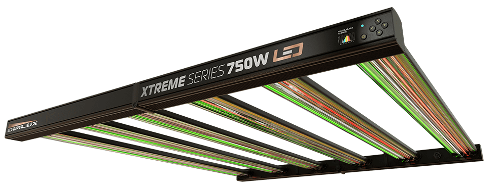 Dimlux Xtreme Serie 750W LED-Anzuchtlicht