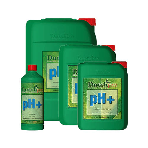 Dutch Pro PH Hoch