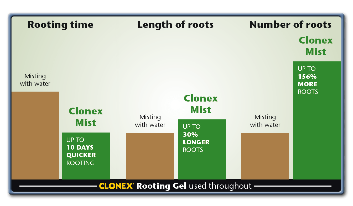 Clonex Sprühnebel