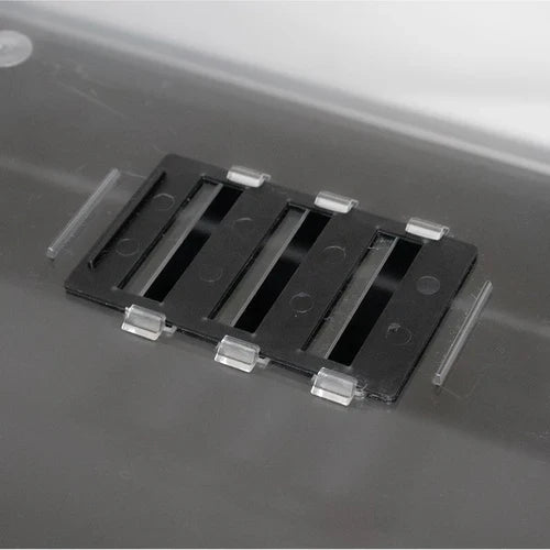 Budget Harttop Propagator 58 x 38 x 23 cm