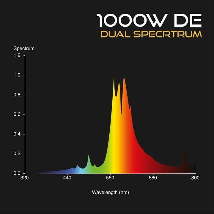 Omega DE 1000W 400V Digitales Lichtset