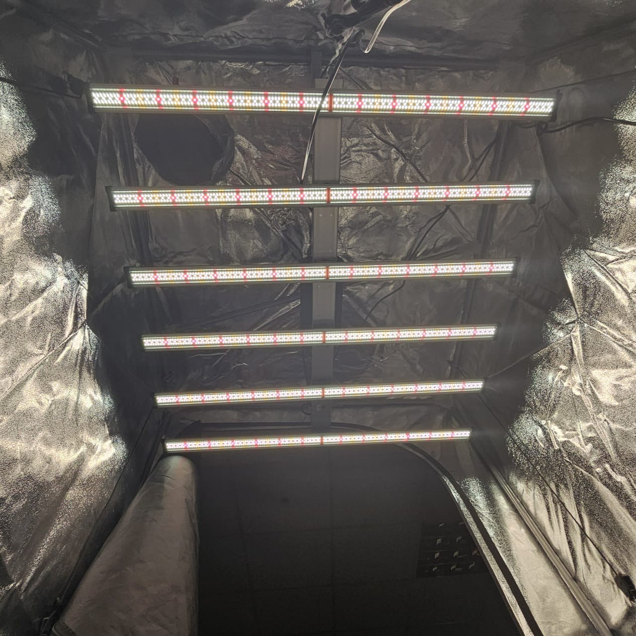 Maxibright Varidrive Kompakt 720W LED Grow Light