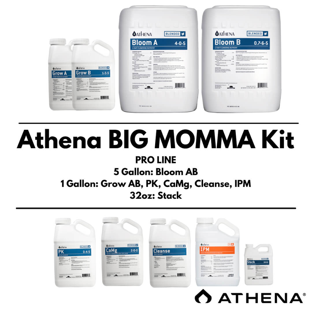 Athena Gemischte Line - Das Full Tilt Big Momma Kit