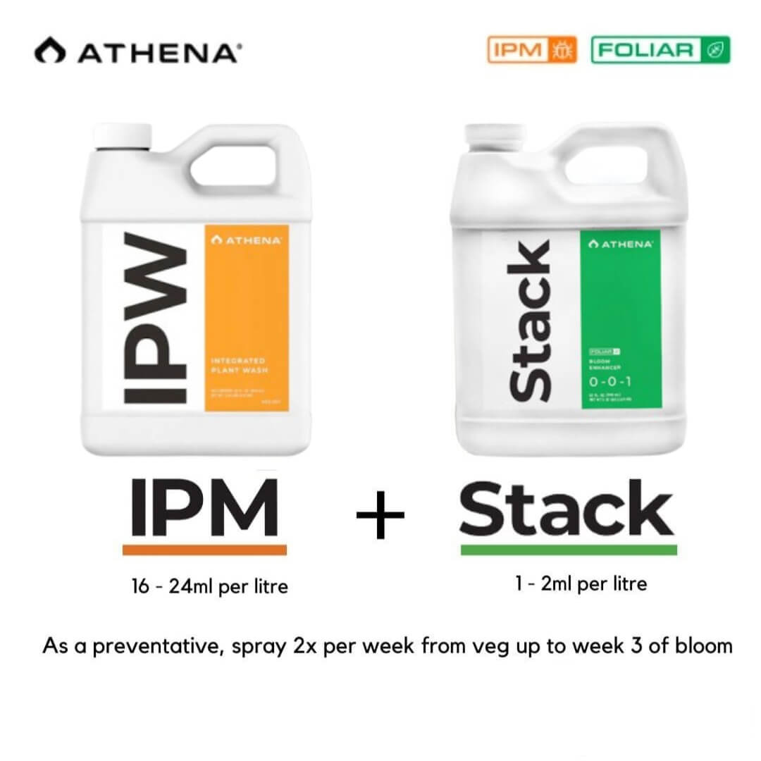Athena Stack + IPW
