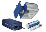 315W Horizon Connect CDM Beleuchtungsset
