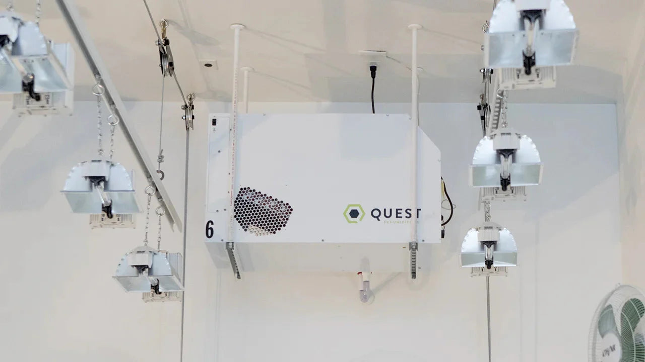 Quest 155 Wandtrockner