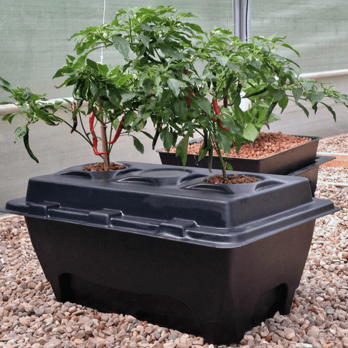 Oxypot XL Komplettset (2 Pflanzen) - 70L (58,5 x 83 x 38cm)