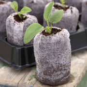 Jiffy Torf-Tabletten