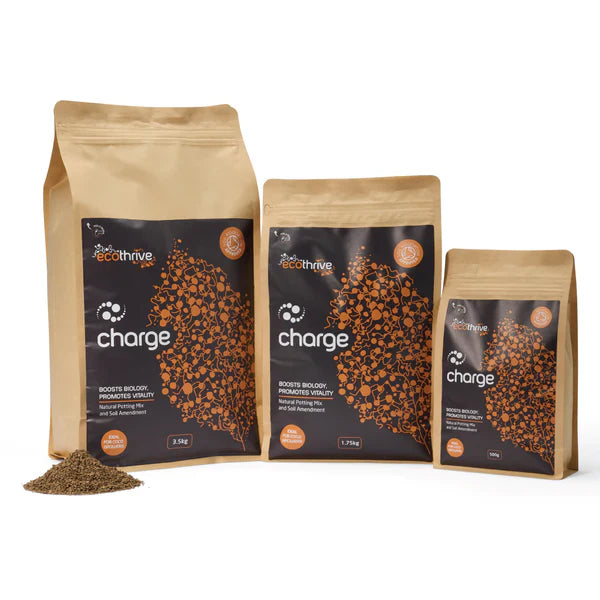 Ecothrive Ladegerät