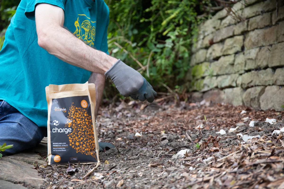 Ecothrive Ladegerät