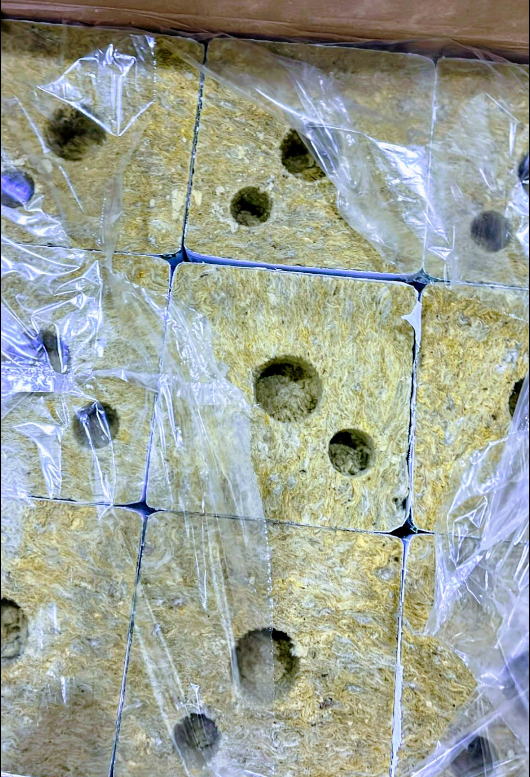 Grodan - 6" Hugo Block / Würfel (mit neuem Tropferehole)