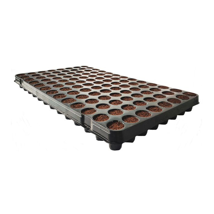 Plug Life 80/20 (Torfmischung) 104
