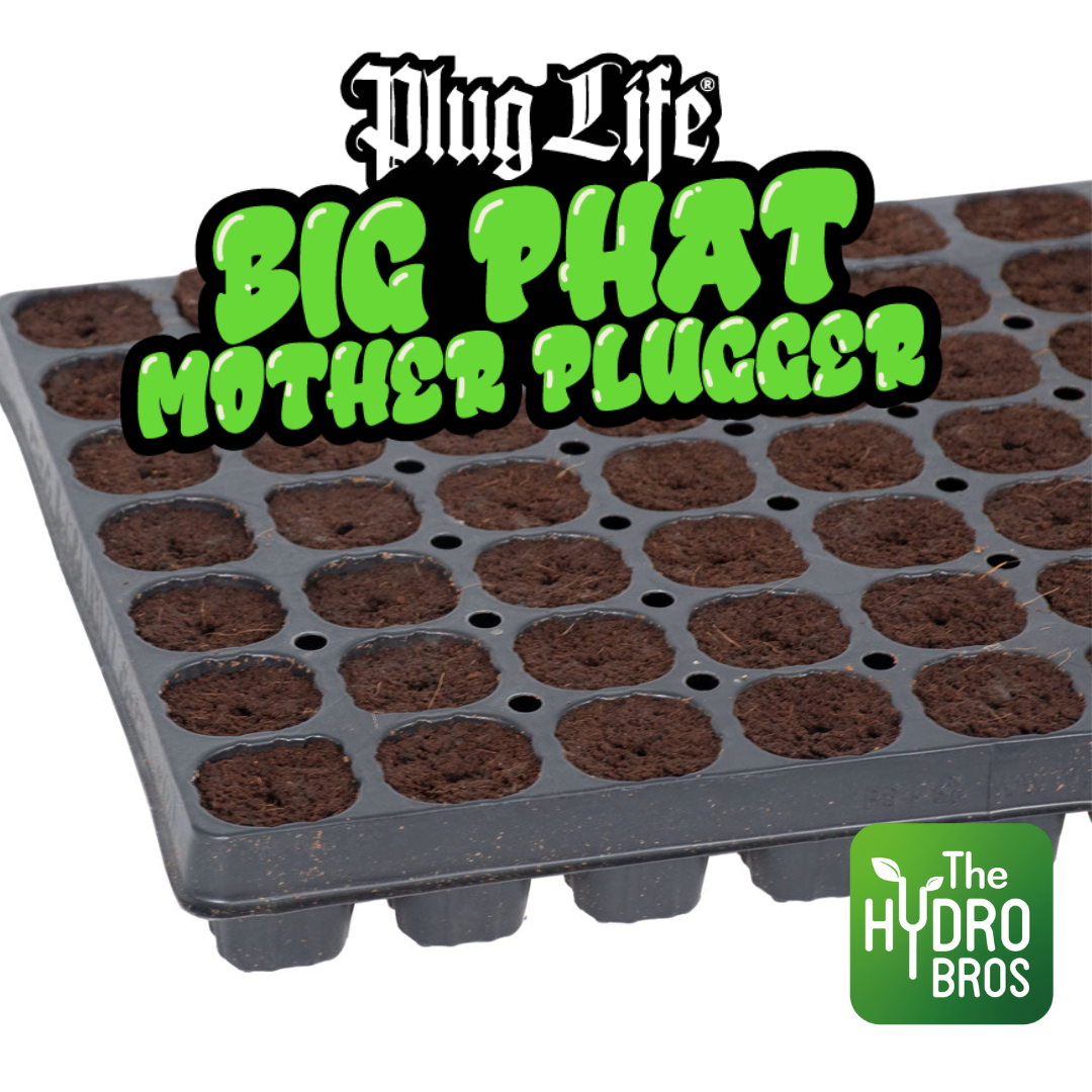 Plug Life Big Phat Mother Plugger 77 Ablagefach