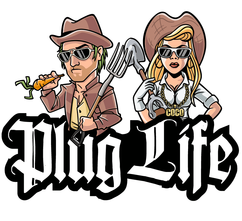 Plug Life 80/20 (Torfmischung) 104