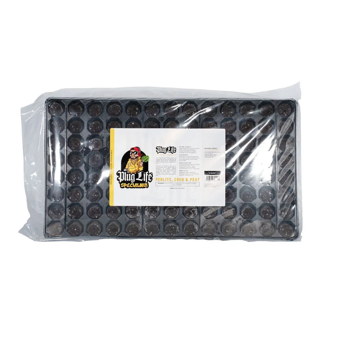 Plug Life Spezialmischung 104