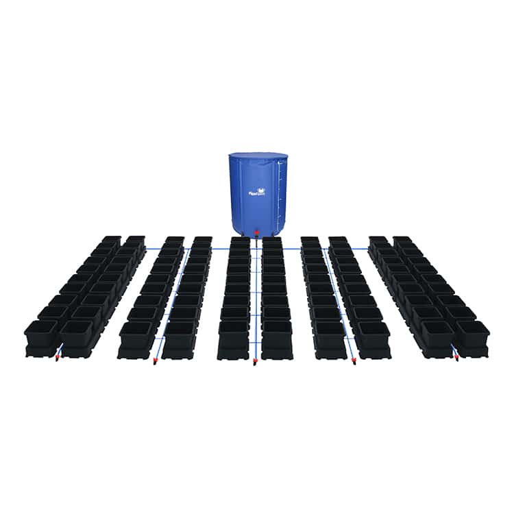 Easy2grow Kit – 100 Töpfe