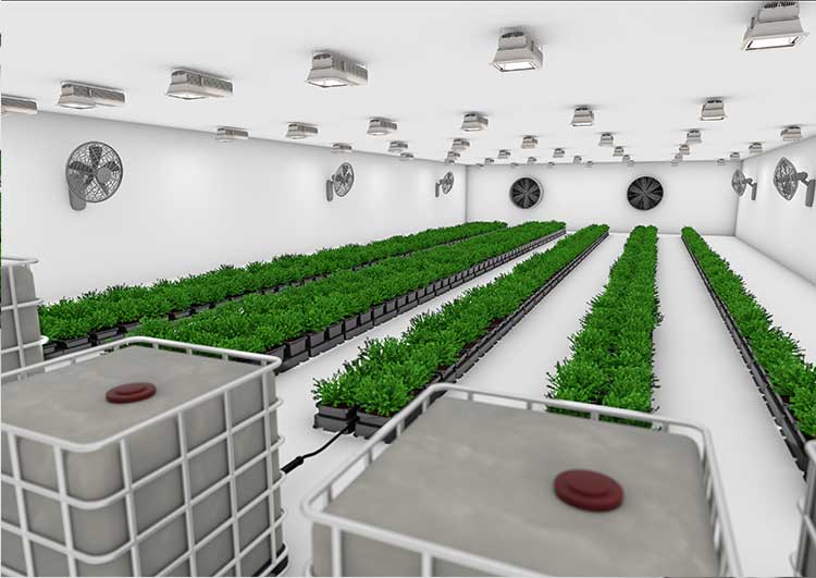 Easy2grow Kit – 100 Töpfe