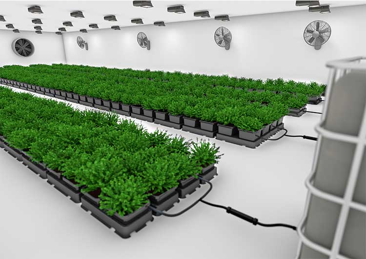Easy2grow Kit – 100 Töpfe
