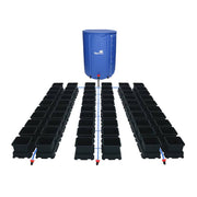 Easy2grow Kit - 80 Töpfe