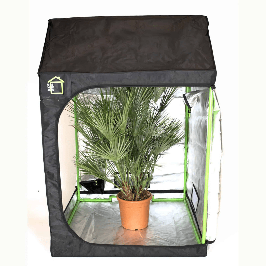 Grüner Qube Dach Qube Zelt RQ120 – 120 x 120 x 180 cm