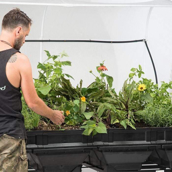 Vegepod Gartenbeet mit Überdachung & Ständer – Groß