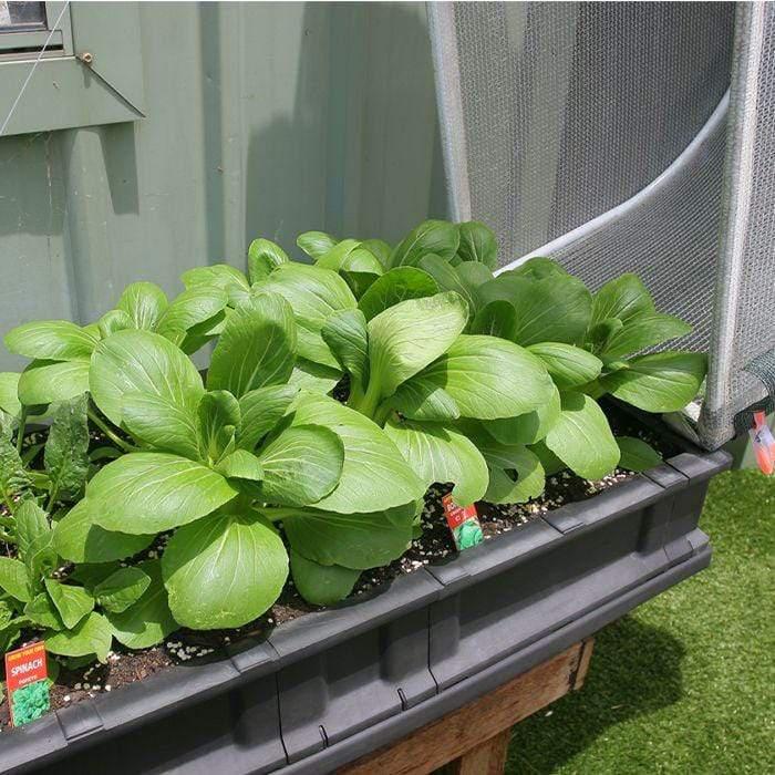 Vegepod Gartbeet mit Überdachung & Ständer - Klein