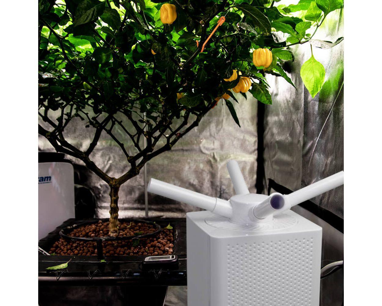 Sonic Air 10L Luftbefeuchter