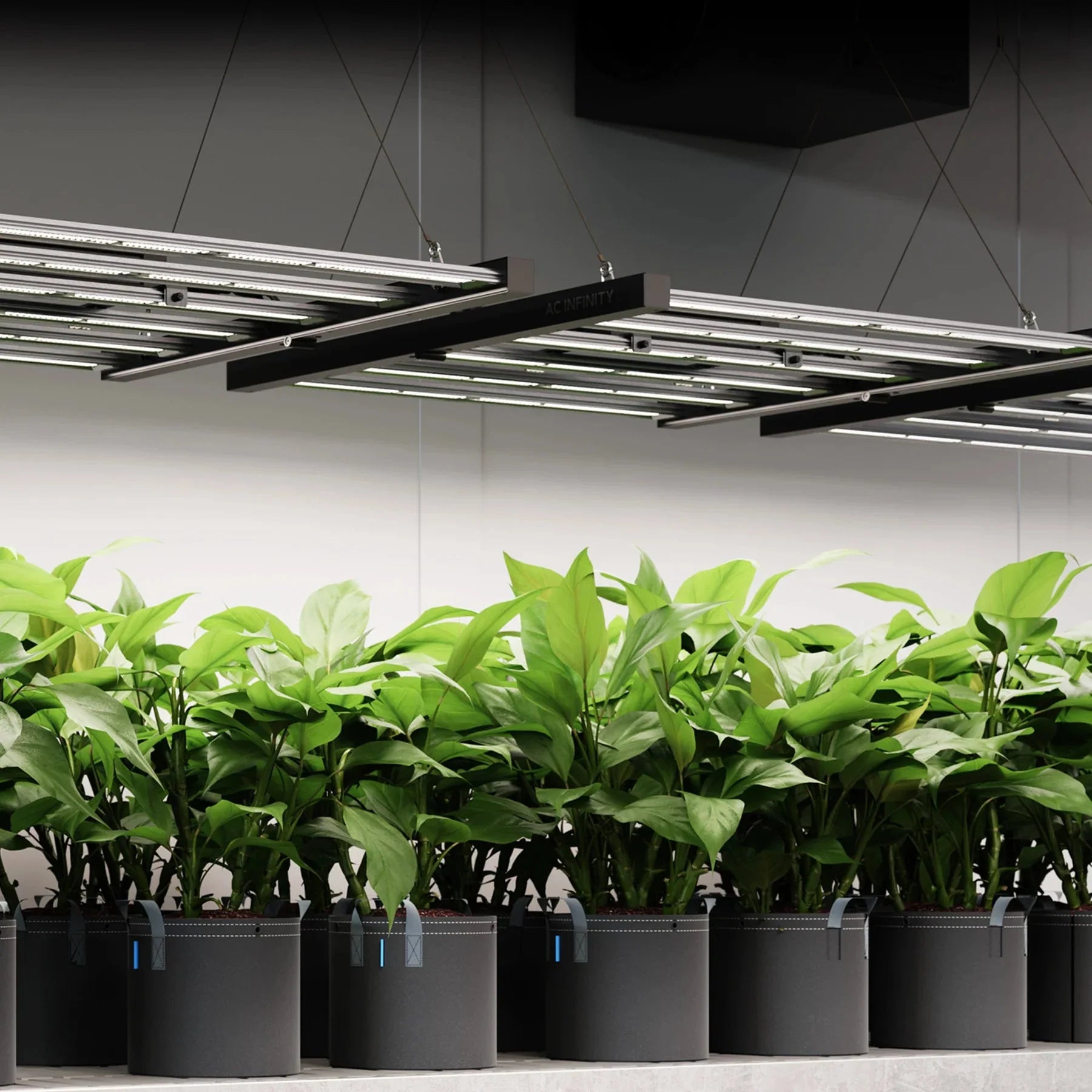 AC Infinity IonFrame EVO3 LED Wachstumslicht - 280W (AC-IF3K)