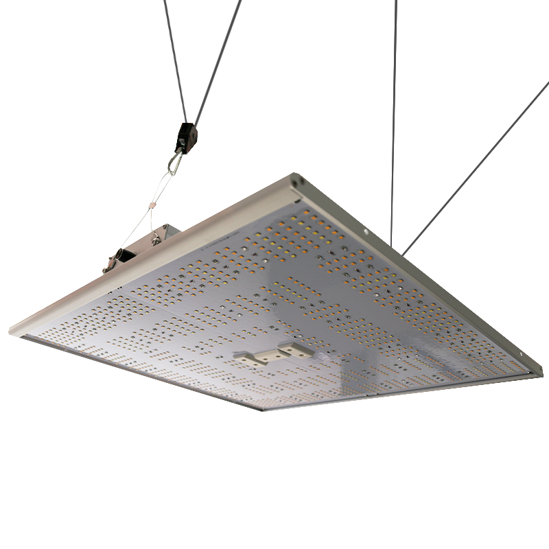 Hacienda QB-320 LED-Wachstumsleuchte - 320W