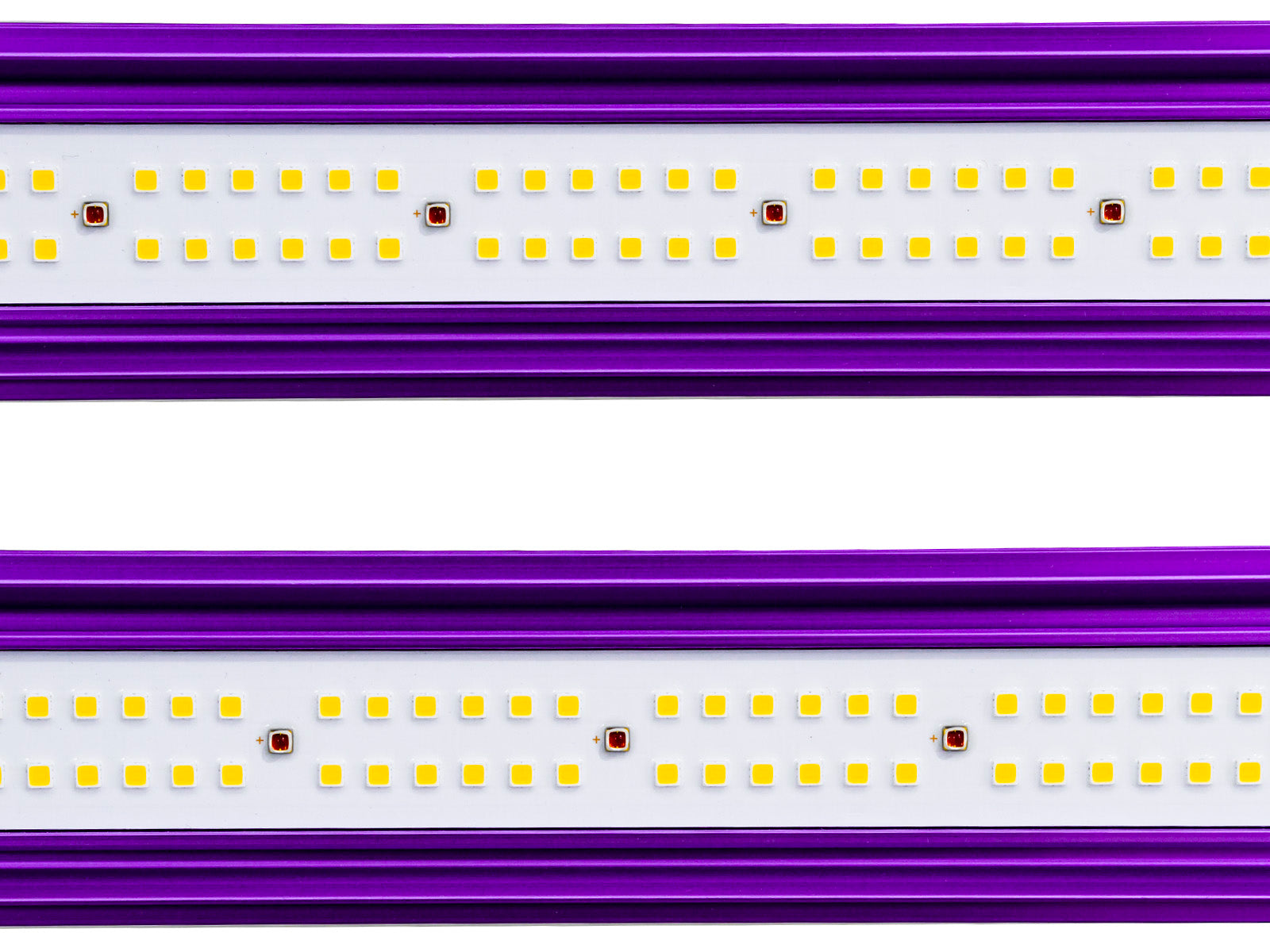 Lumatek Zeus Pro 465w 3.1 LED Wachstumslichter