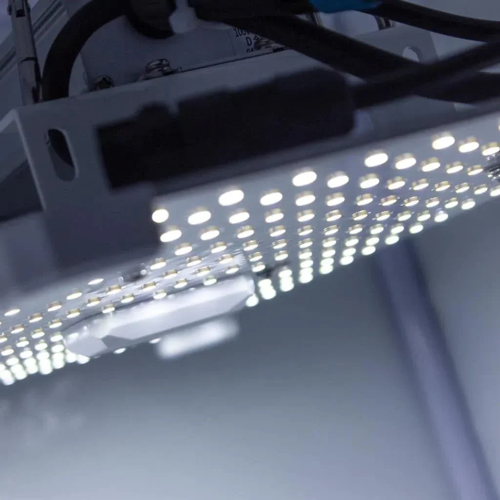 Lumii Schwarze Klinge LED - 100W Veg Grow Light