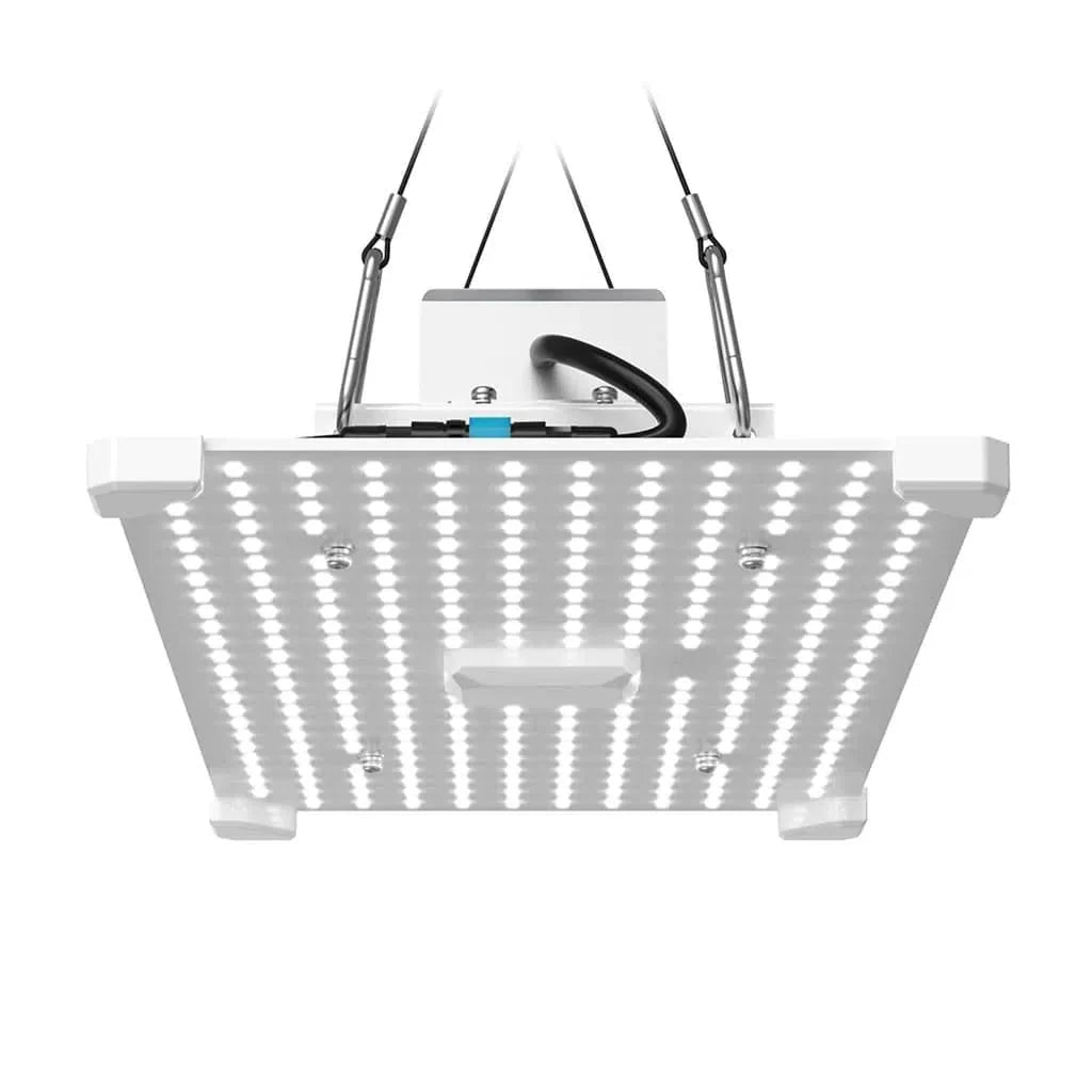 Lumii Schwarze Klinge LED - 100W Veg Grow Light