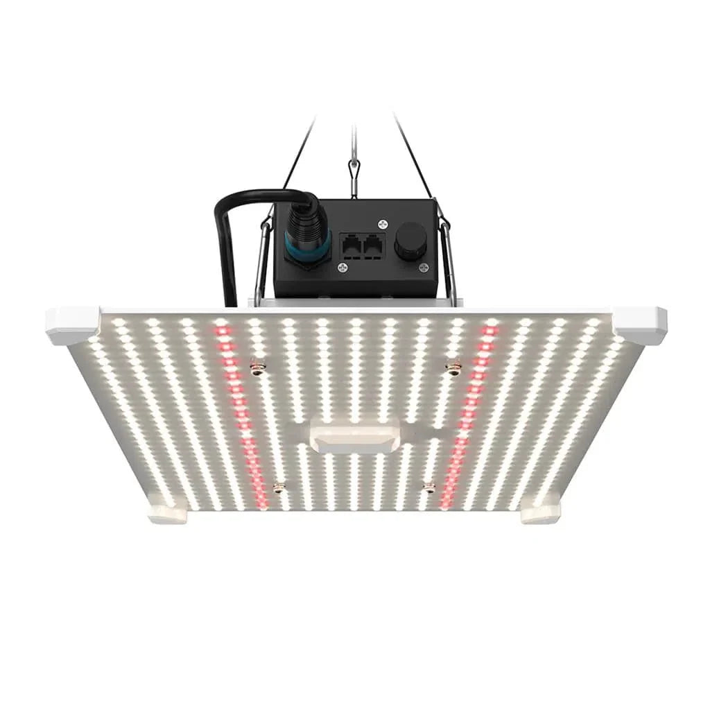 Lumii Schwarzes Klingen-LED - 200W Wachstumslicht