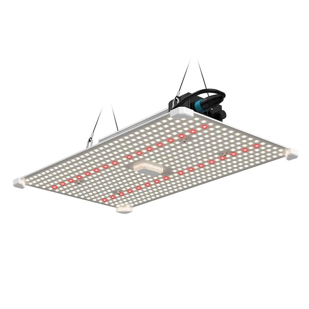Lumii Schwarzes Klingen-LED - 200W Wachstumslicht