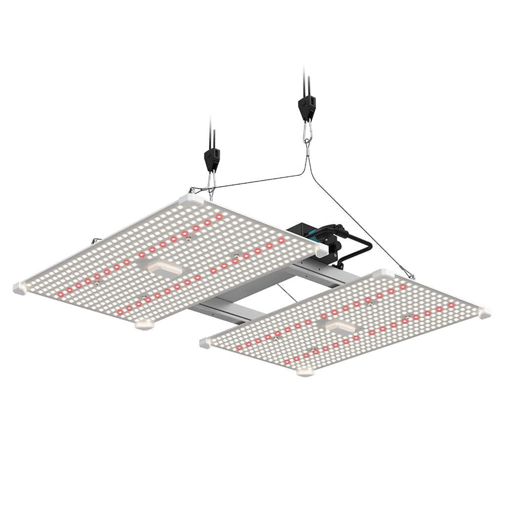 Lumii Schwarzes Klingen-LED - 400W Wachstumsleuchte