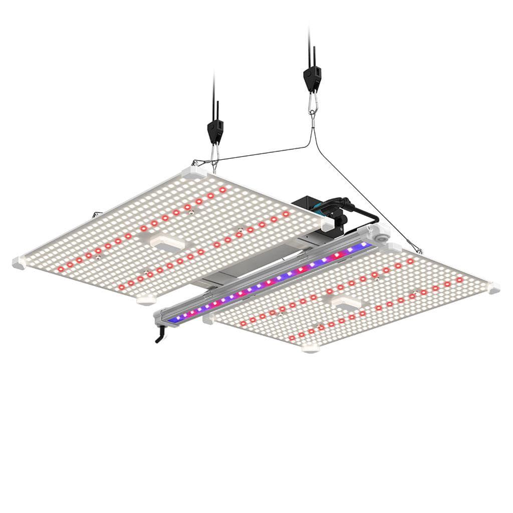 Lumii Schwarzes Klingen-LED - 400W Wachstumsleuchte