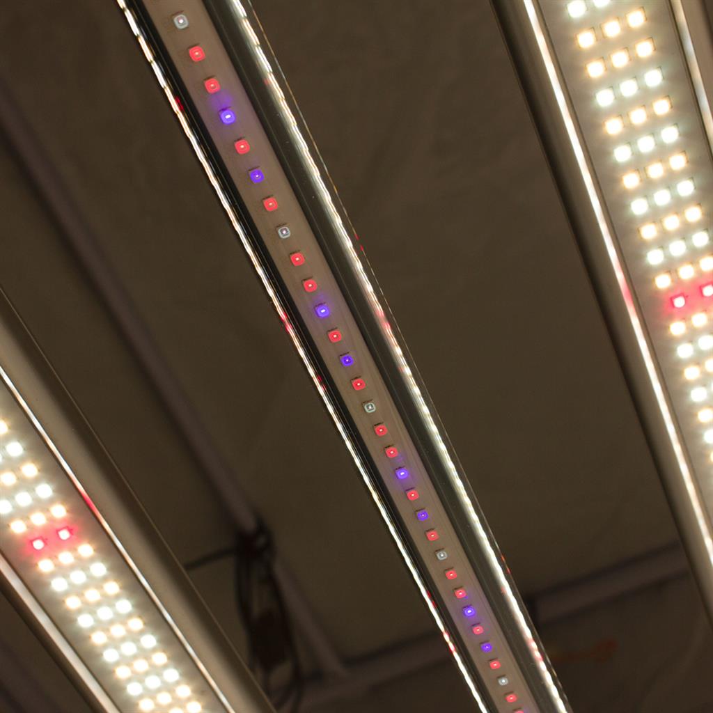 LUMii BLACK LED 720W LED Wachstumslicht