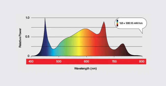 Maxibright Tageslicht 200W Profi LED-Grow-Licht