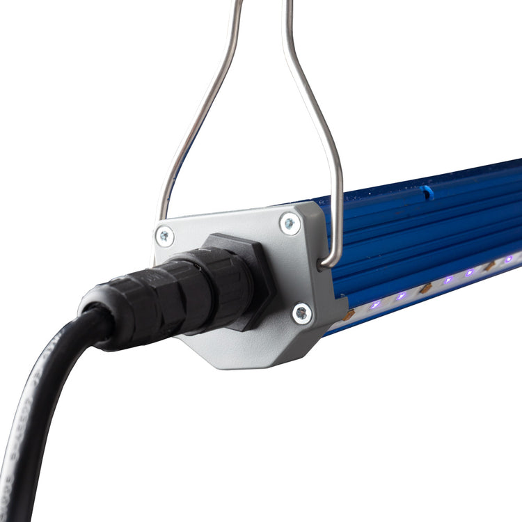 Maxibright Tageslicht UV- und Fernrot-Zusatzstreifen