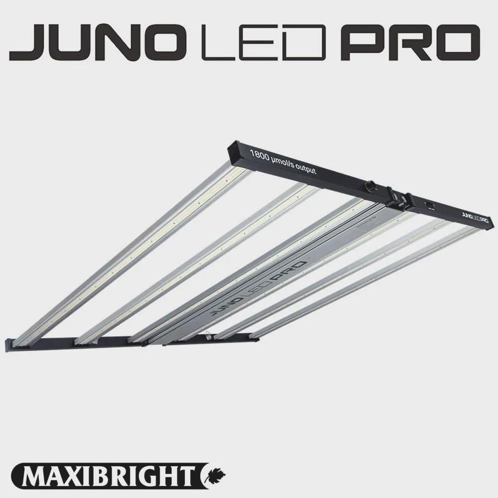Maxibright Juno 720W LED Wachstumslicht