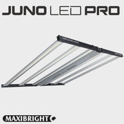 Maxibright Juno 720W LED Wachstumslicht