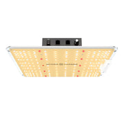 Spider Farmer SF1000 LED (100 W)