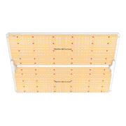 Spider Farmer SF4000 LED (450W)