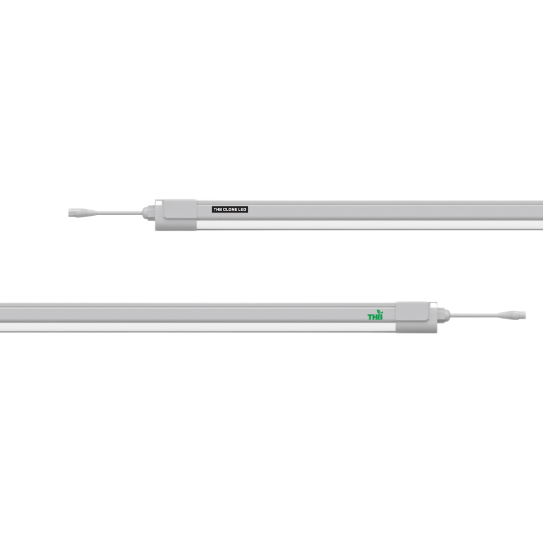 THB Clone LED 18W (Paar)