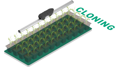 ThinkGrow Model One 90W LED Treiber 4 Kanal (TLD-4)