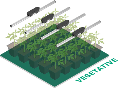 ThinkGrow Model One – 90-Watt 4-Fuß LED-Leisten