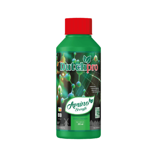 Dutch Pro - Amino Kraft